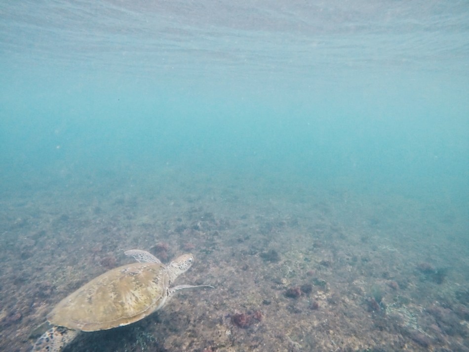 Processed with VSCO with hb2 preset